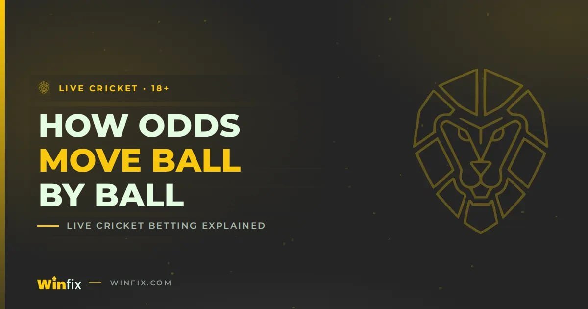 Winfix - Live Cricket Betting